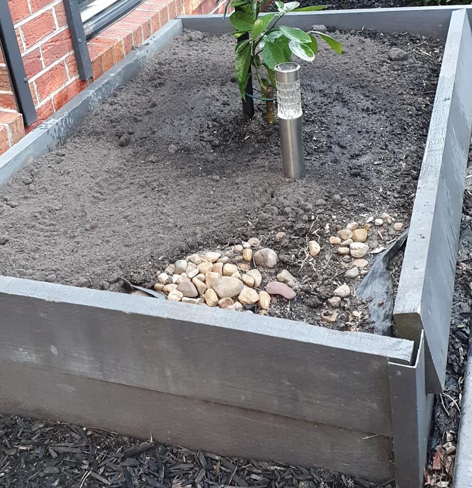 Raised bed before image