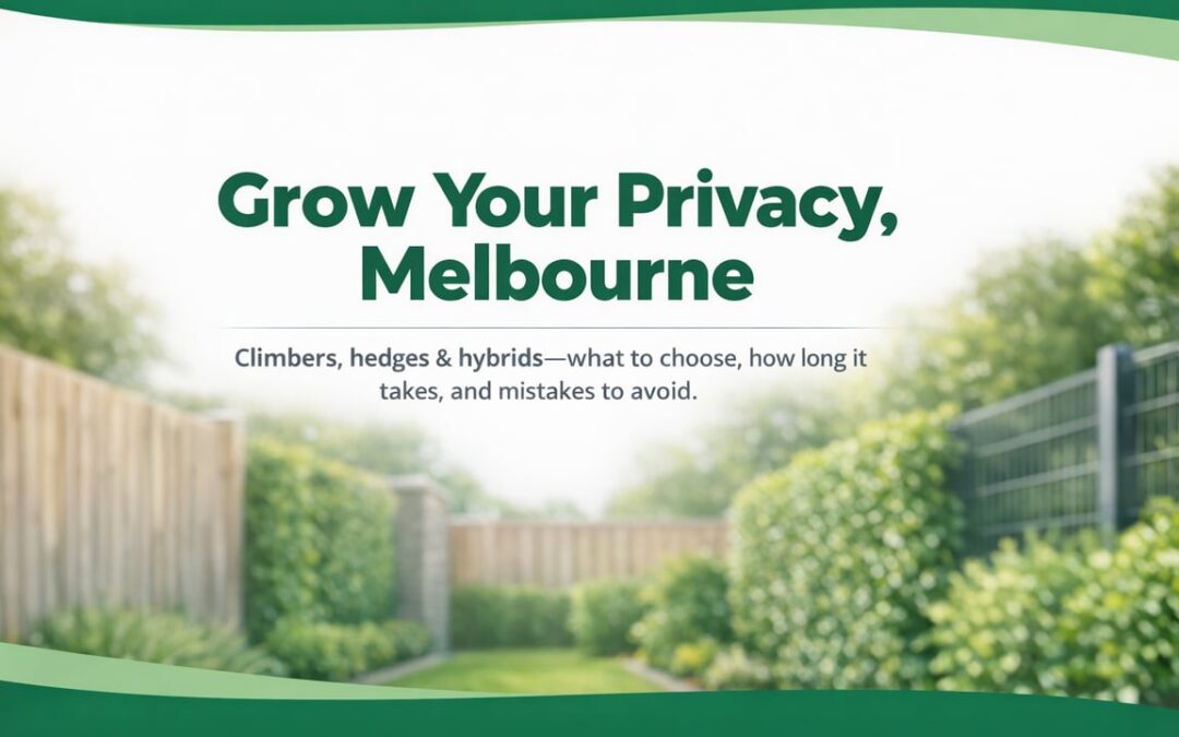 Plant Fencing: Greener Privacy Screens for Melbourne Properties