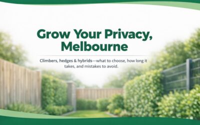 Plant Fencing: Greener Privacy Screens for Melbourne Properties